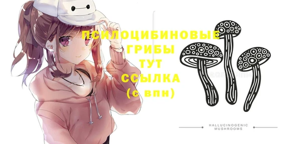 a pvp Заволжск