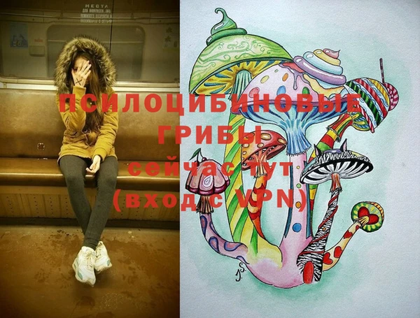 соль ск Заводоуковск