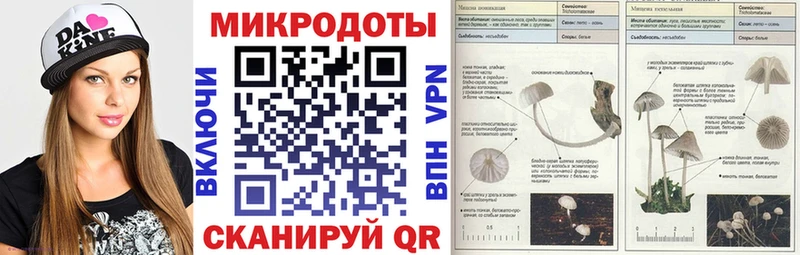 Купить где  Покачи  Псилоцибиновые грибы MAGIC MUSHROOMS 